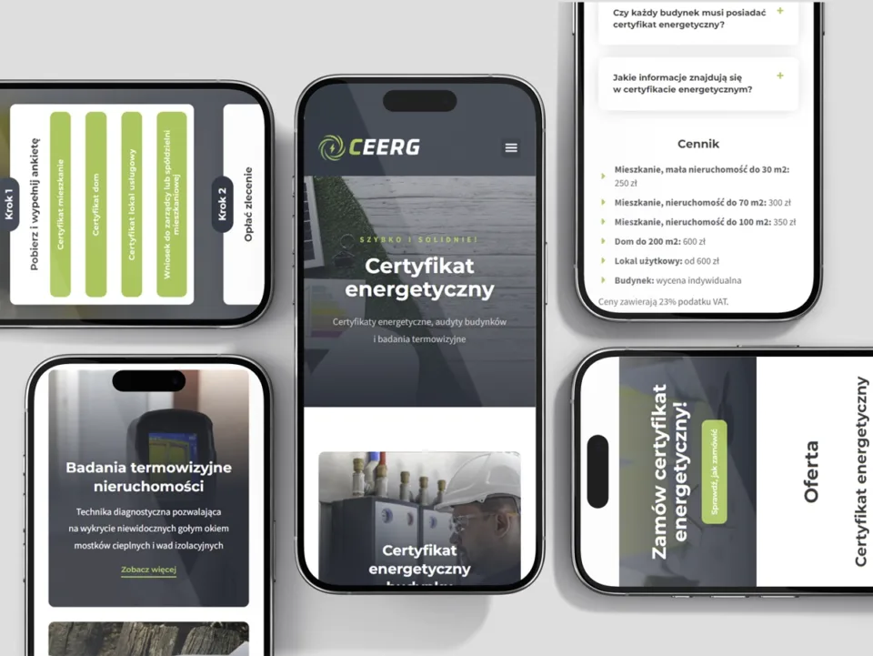 CEERG - strona internetowa (4)