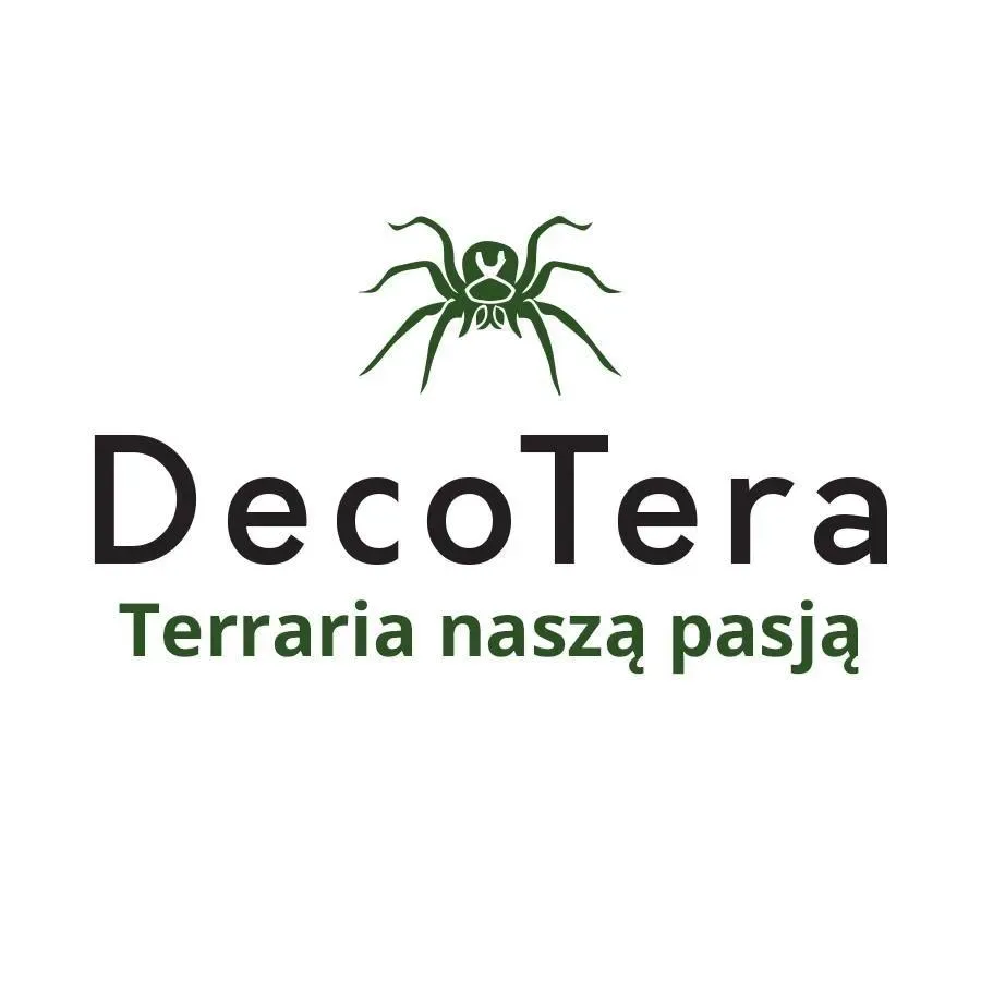DecoTera - grafika (1)