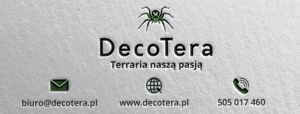 DecoTera - grafika (2)