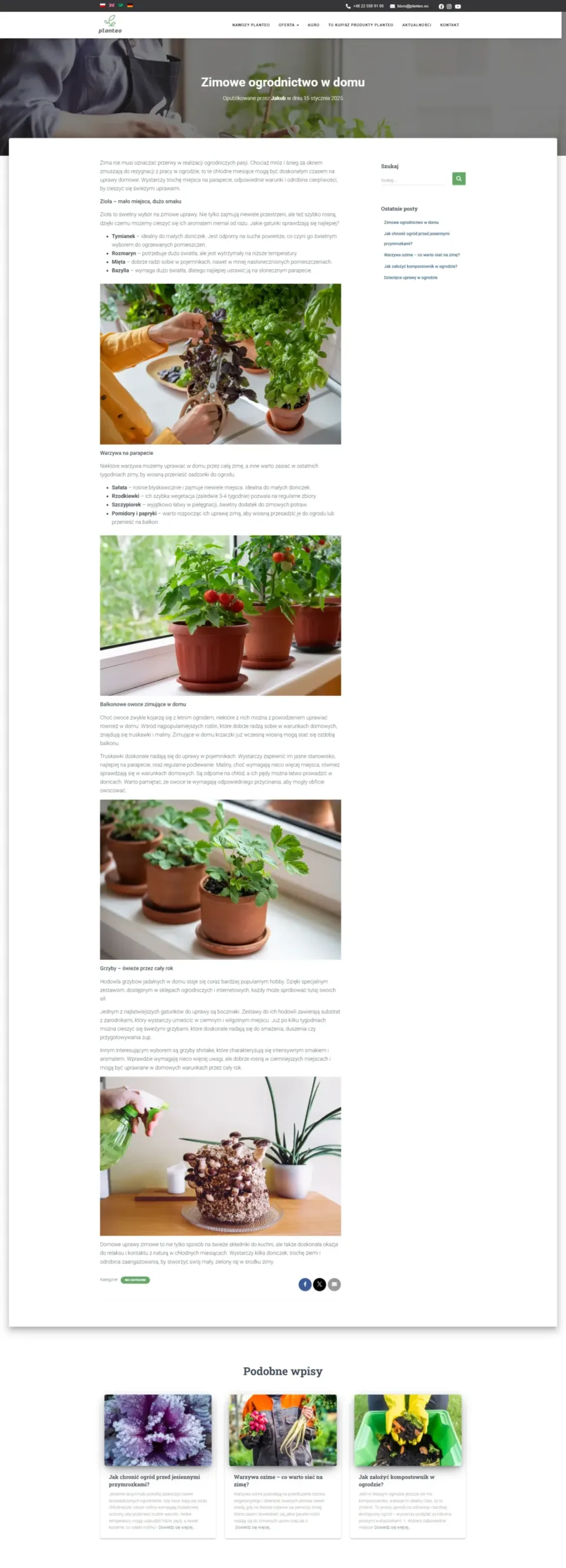 Planteo - strona internetowa (10)