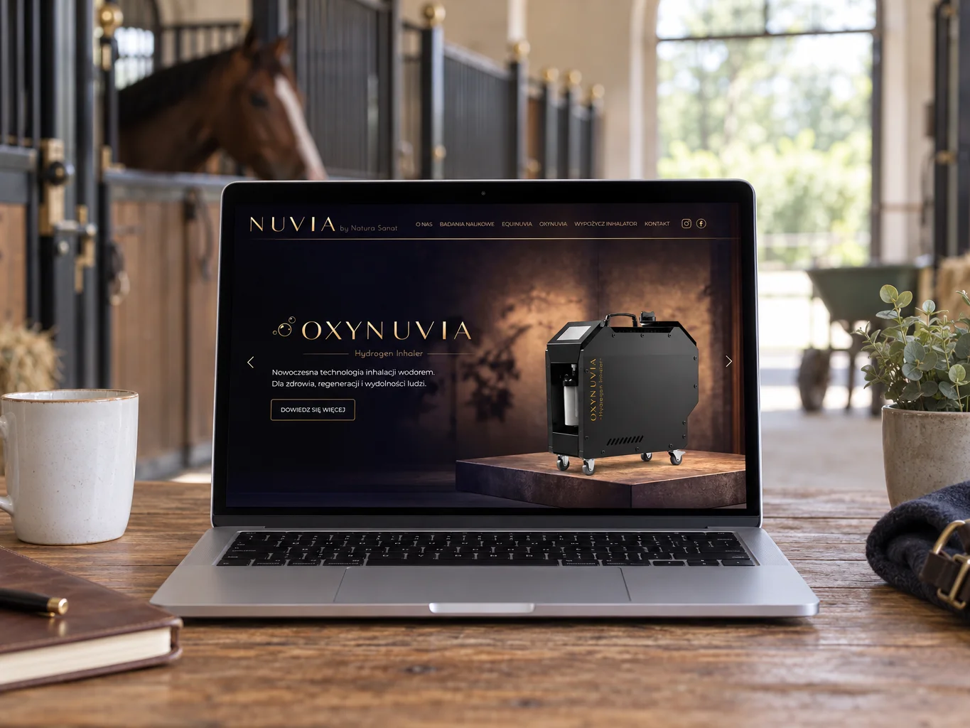 Strona nuvia na laptopie
